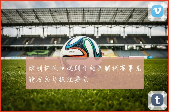 欧洲杯投注规则介绍图解析赛事竞猜方式与投注要点
