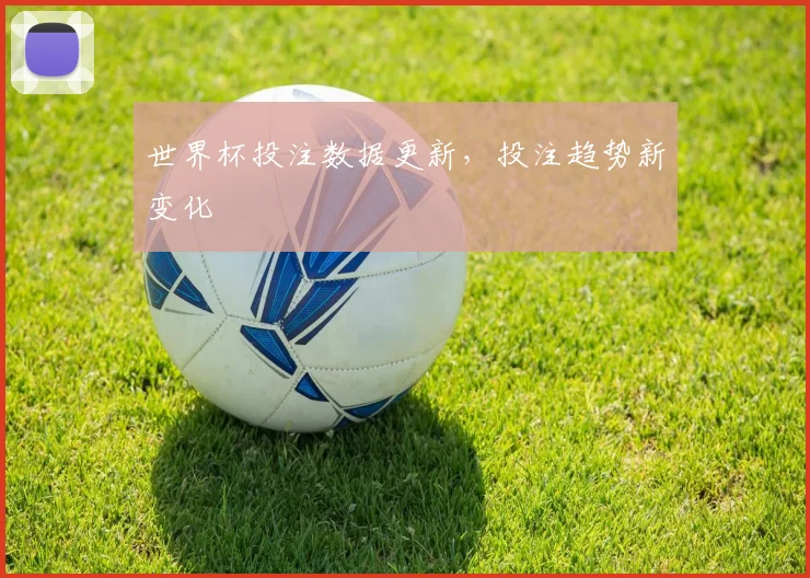 世界杯投注数据更新,投注趋势新变化